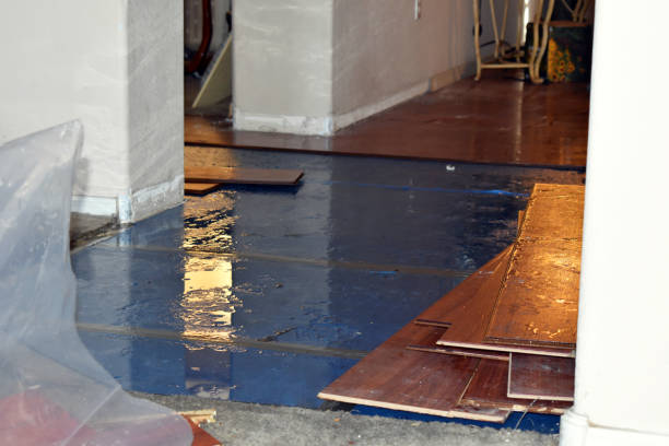 Professional Burst Pipe Cleanup technician working in Mount Hope, NJ